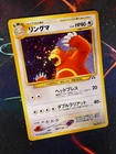 Salamence