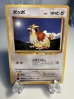 Pidgey