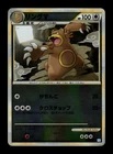 Ursaring