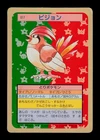 Pidgeotto