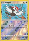 Pikipek