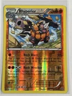 Rhyperior