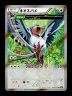 Swellow