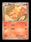Torchic