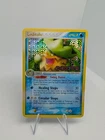 Ludicolo