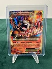 Camerupt Spirit Link