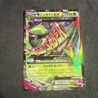 Sceptile ex