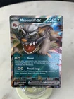 Mabosstiff ex