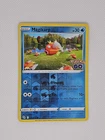 Magikarp