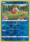 Magikarp