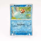 Magikarp