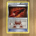 Magma Pointer
