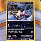 Mandibuzz