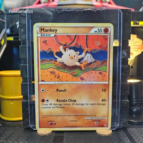 Mankey