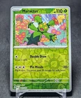 Maractus