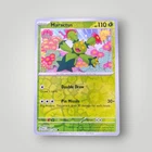 Maractus