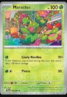 Maractus