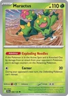 Maractus