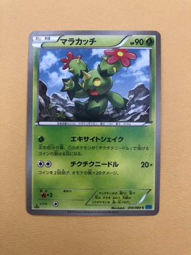 Maractus