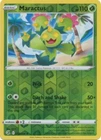 Maractus