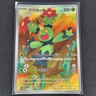 Maractus