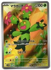Maractus