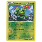Maractus