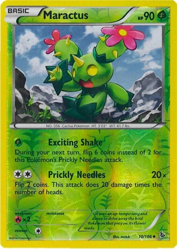Maractus