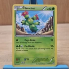 Maractus