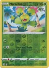 Maractus