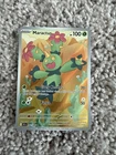 Maractus