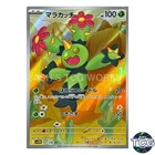 Maractus