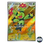Maractus