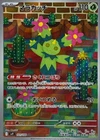 Maractus