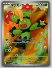 Maractus