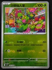 Maractus