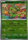Maractus