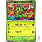 Maractus