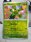 Maractus