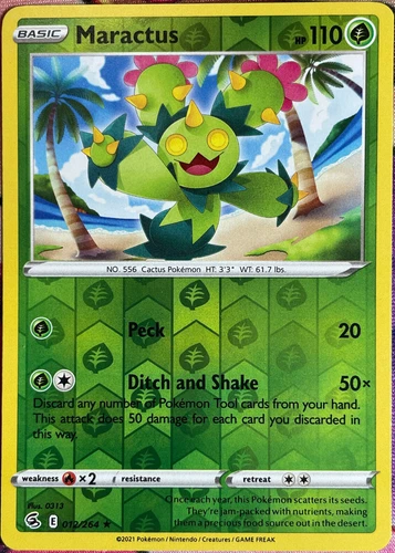 Maractus
