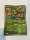 Maractus