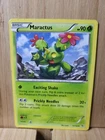 Maractus