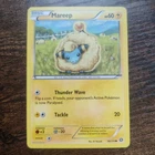 Mareep