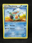 Marshtomp