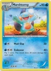 Marshtomp