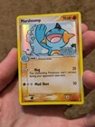 Marshtomp