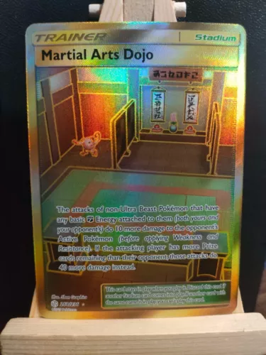 Martial Arts Dojo