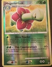 Meganium