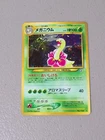Old Helix Fossil