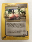 Memory Berry